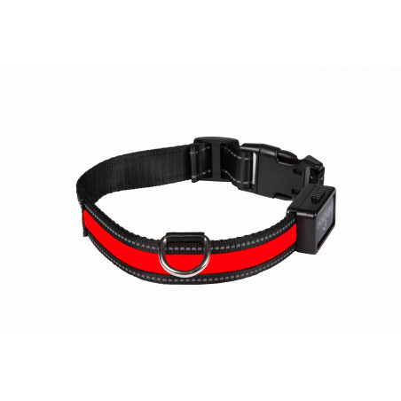EYENIMAL LIGHT COLLAR USB RECHARGEABLE TAILLE M