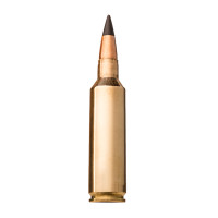 BALLES 270WSM EXTREME POINT 130GR X20