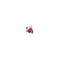 POINT ROUGE RS1 1X20 VEOPTIK